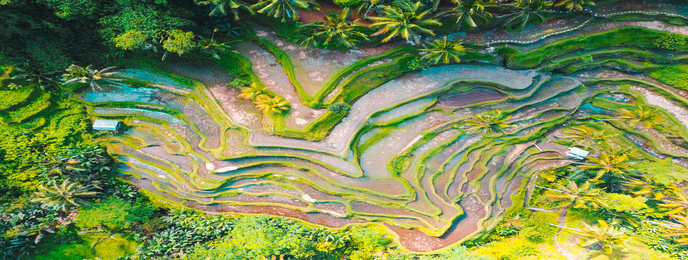 Structural shot of several layers of green hills from above